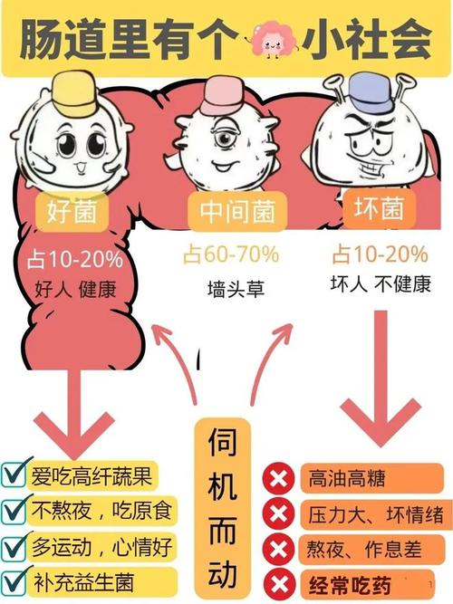 孕妇吃DHA和燕窝到底是不是交智商税「孕妇涉绑架华人落网怎么办」 批发市场