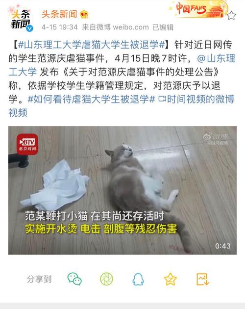 山东理工大学虐猫大学生被退学合适吗「虐猫被退学有法律依据吗」 海鲜市场