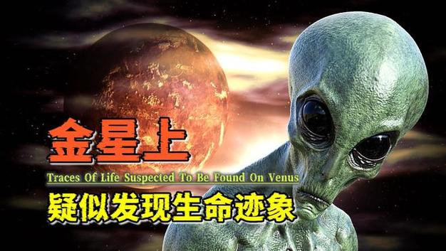 为什么说金星存在生命的可能性极其微小「金星疑现生命迹象图片」 水产干货